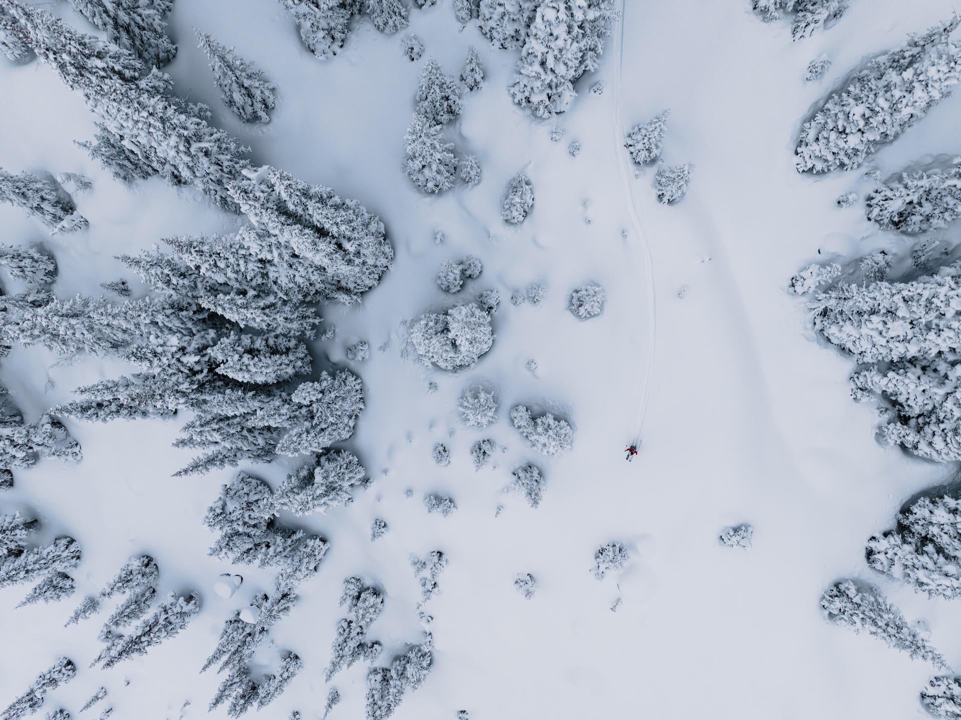 Aerial shot of snow covered forest