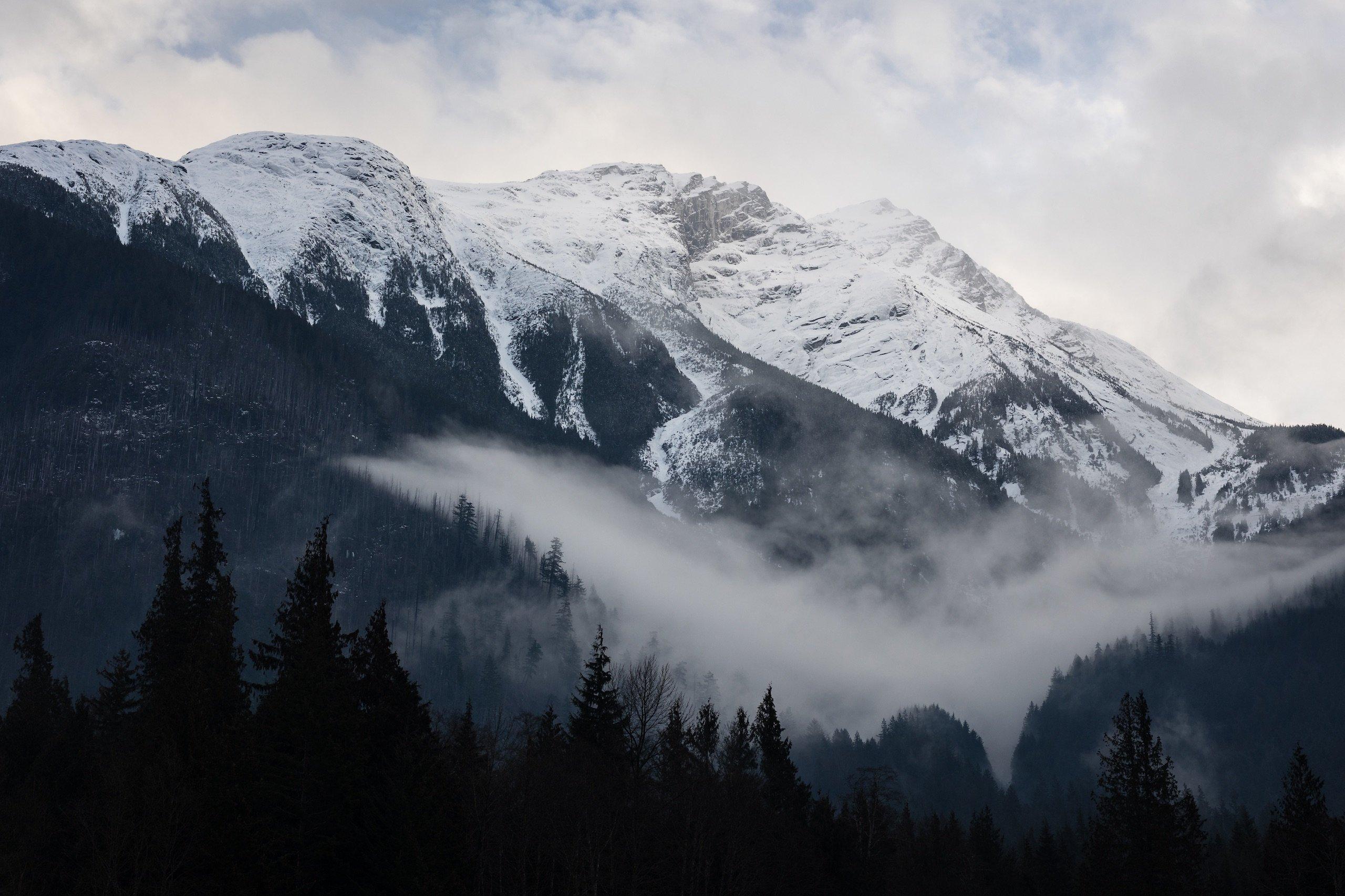 Snow-capped mountains with mist rising through a forest of evergreen trees beneath an overcast sky.